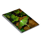 Giant Green Luna moth Notizblock (Rechte Seite)