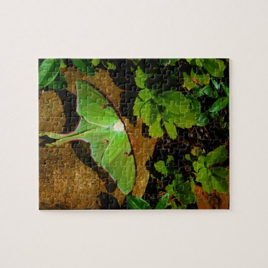 Giant Green Luna moth Puzzle (Horizontal)