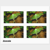 Giant Green Luna moth Rechteckiger Aufkleber (Blatt)