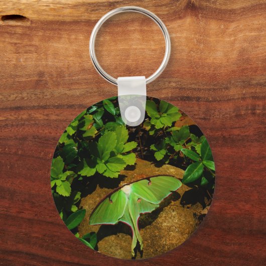 Giant Green Luna moth Schlüsselanhänger (Vorderseite)