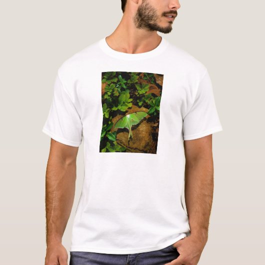 Giant Green Luna moth T-Shirt (Vorderseite)