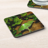 Giant Green Luna moth Untersetzer (Linke Seite)