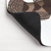 Giant Gudgeon Mousepad (Ecke)