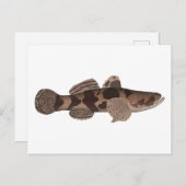 Giant Gudgeon Postkarte (Vorne/Hinten)
