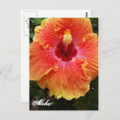 Giant Hibiskus Aloha Postcard Postkarte (Vorne/Hinten)