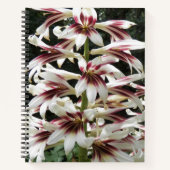 Giant Himalayan Lilies Floral Notebook Notizblock (Vorderseite)
