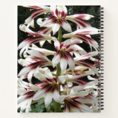 Giant Himalayan Lilies Floral Notebook Notizblock (Rückseite)