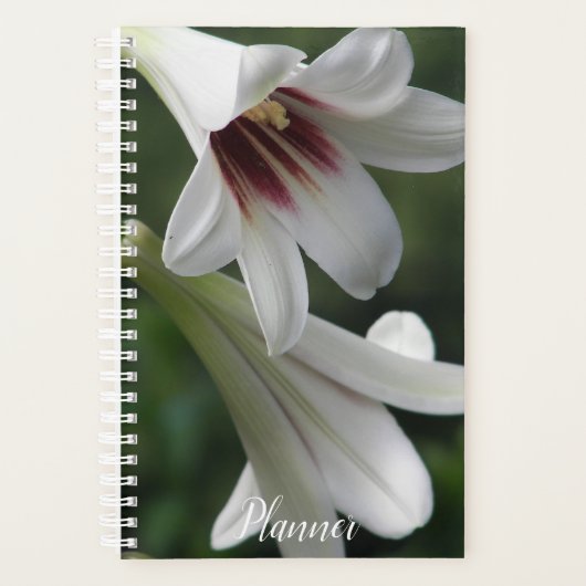 Giant Himalayan Lilies Floral Planer (Vorderseite)
