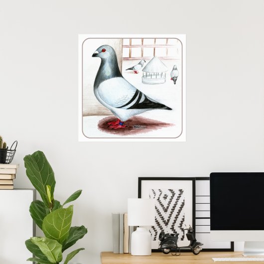Giant Homer Pigeon 1973 Poster (Heimbüro)