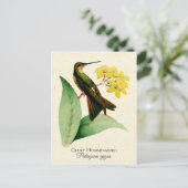 Giant Hummingbird Postcard Postkarte (Stehend Vorderseite)