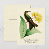Giant Hummingbird Postcard Postkarte (Vorne/Hinten)