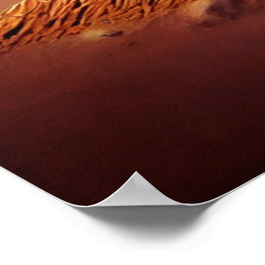 Giant Insekt Poster (Ecke)