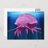 Giant Isopod Postkarten (Vorne/Hinten)