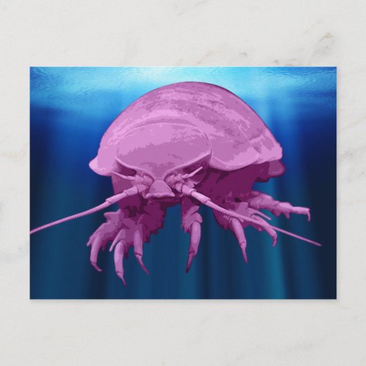 Giant Isopod Postkarten (Vorderseite)