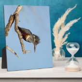 Giant Kingfisher Fotoplatte (Seite)