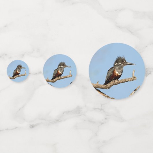 Giant Kingfisher Konfetti (Rückseiten)