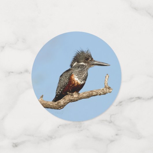 Giant Kingfisher Konfetti (Klein Vorderseite)
