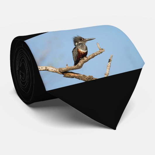 Giant Kingfisher Krawatte (Gerollt)