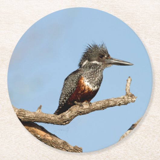 Giant Kingfisher Runder Pappuntersetzer (Vorderseite)