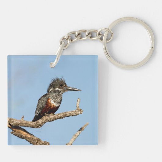 Giant Kingfisher Schlüsselanhänger (Rückseite)