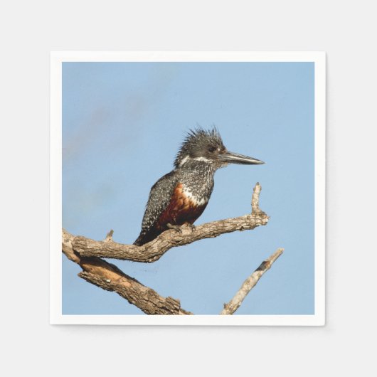 Giant Kingfisher Serviette (Vorderseite)