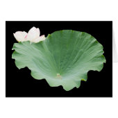 Giant Lotus Leaf mit Bloom (Vorderseite (Horizontal))