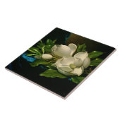 Giant Magnolia auf einem blauen Samttuch Fliese (Seite)