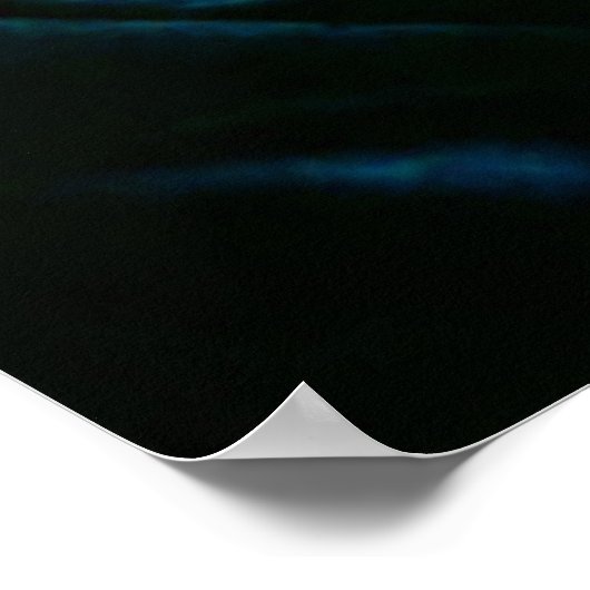 Giant Magnolia auf einem blauen Samttuch Poster (Ecke)