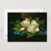 Giant Magnolia auf einem blauen Samttuch Postkarte (Vorne/Hinten)