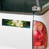 Giant Magnolias auf einem blauen Samttuch (Heade) Autoaufkleber (Auf Lkw)