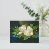 Giant Magnolias auf einem blauen Samttuch Postkarte (Stehend Vorderseite)