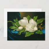 Giant Magnolias auf einem blauen Samttuch Postkarte (Vorne/Hinten)