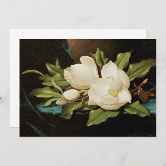 Giant Magnolias auf einem blauen Samttuch von MJ H (Vorne/Hinten)