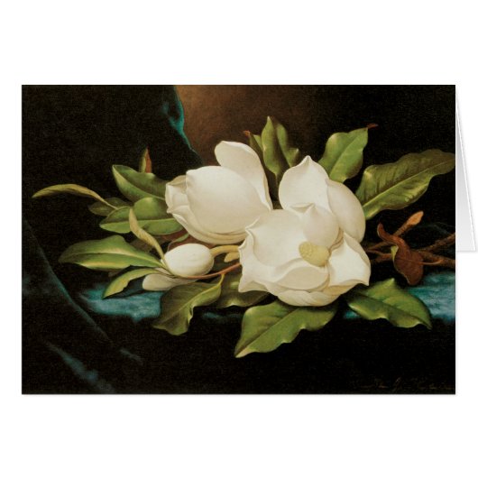 Giant Magnolias auf einem blauen Samttuch von MJ H (Vorderseite (Horizontal))