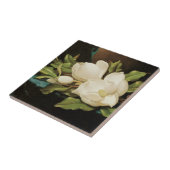 Giant Magnolias auf einem blauen Samttuch von MJ H Fliese (Seite)