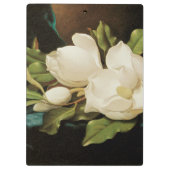 Giant Magnolias auf einem blauen Samttuch von MJ H Klemmbrett (Rückseite)