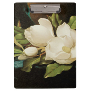 Giant Magnolias auf einem blauen Samttuch von MJ H Klemmbrett