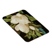 Giant Magnolias auf einem blauen Samttuch von MJ H Magnet (Rechte Seite)