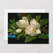 Giant Magnolias auf einer Blue Velvet Tuch Postkar Postkarte (Vorne/Hinten)