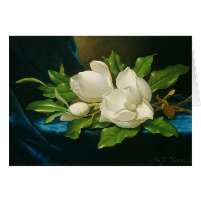 Giant Magnolias on a Blue Velvet Tuch, c.1890 (oi (Vorderseite (Horizontal))