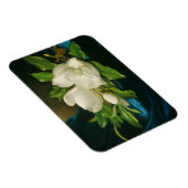 Giant Magnolias on a Blue Velvet Tuch, c.1890 (oi Magnet (Rechte Seite)