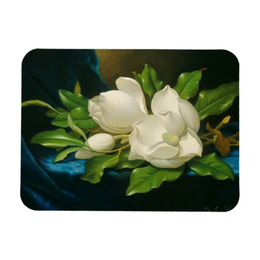 Giant Magnolias on a Blue Velvet Tuch, c.1890 (oi Magnet (Horizontal)