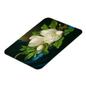 Giant Magnolias on a Blue Velvet Tuch, c.1890 (oi Magnet (Linke Seite)