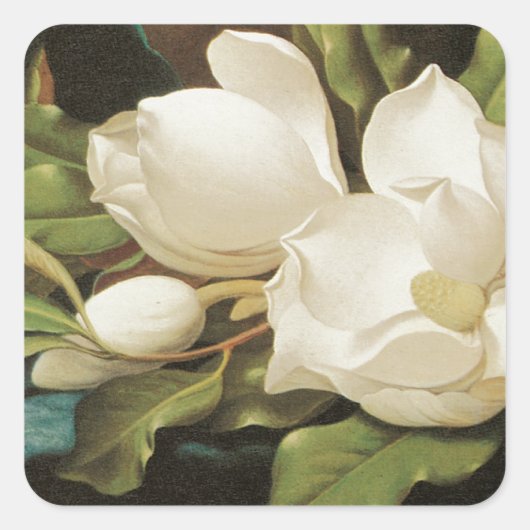 Giant Magnolias Quadratischer Aufkleber (Vorderseite)