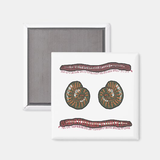 Giant Millipede Magnet (Vorderseite/Rückseite)
