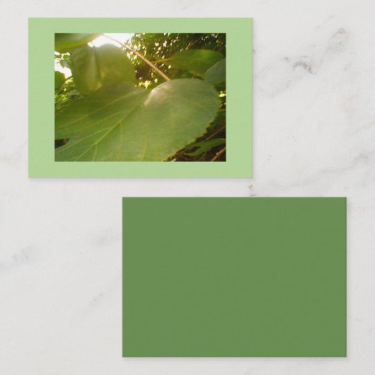 Giant Mulberry Leaf Visitenkarte (Vorne/Hinten)