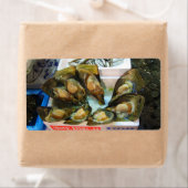 Giant Mussels Tsukiji Fish Market, Tokio, Japan (Insitu)