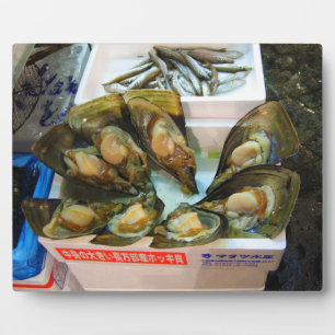 Giant Mussels Tsukiji Fish Market, Tokyo, Japan Fotoplatte