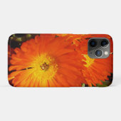 Giant Orange Daisies, Case-Mate iPhone Hülle (Rückseite (Horizontal))