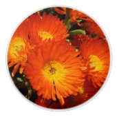 Giant Orange Daisies, Keramikknauf (Vorderseite)
